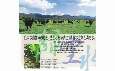 【黒毛和牛A4・B4等級以上】「三戸田子牛」サーロインステーキ200g
