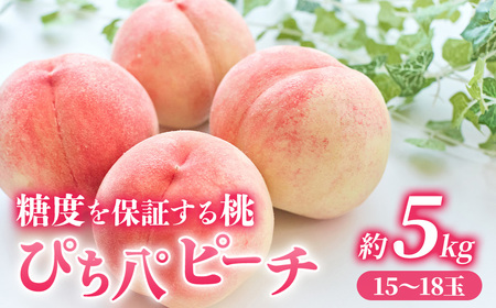 【2025年発送分残り僅か】桃 約5kg (15～18玉) 「ぴちパ　ピーチ」 桃 桃 桃 桃 桃