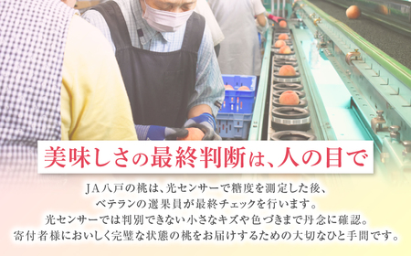 【2025年発送分残り僅か】桃 約5kg (15～18玉) 「ぴちパ　ピーチ」 桃 桃 桃 桃 桃
