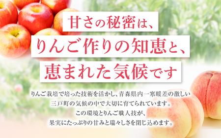 【2025年発送分残り僅か】桃 約5kg (15～18玉) 「ぴちパ　ピーチ」 桃 桃 桃 桃 桃