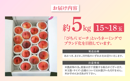 【2025年発送分残り僅か】桃 約5kg (15～18玉) 「ぴちパ　ピーチ」 桃 桃 桃 桃 桃