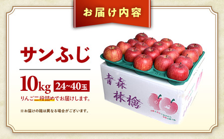 大容量 青森県産りんご 12月上旬～ サンふじ 10kg りんご