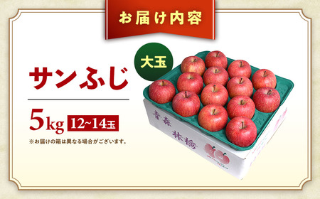 青森県産りんご 大玉 サンふじ 約5kg 12月上旬~ りんご