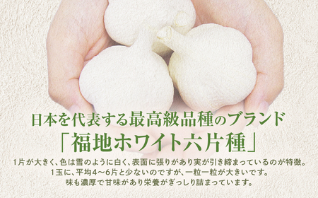 青森県産にんにく 使用！ 七味にんにく 75g×１本