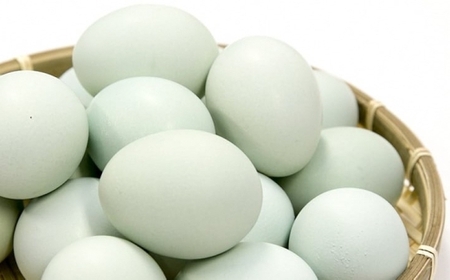 緑の一番星たっぷり♪卵屋ばうむくーへん 9個(16g・3個入×3箱) バウムクーヘン 贈答 土産 青森県 三戸町 AR-25-013