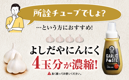 青森県産にんにく すりおろし 200g×１本 チューブ にんにく