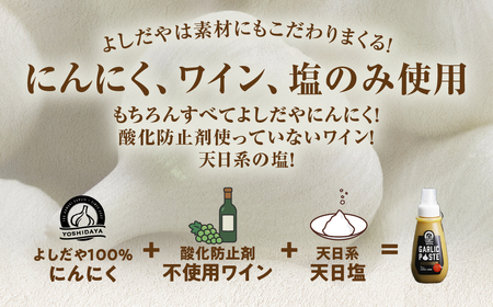 青森県産にんにく すりおろし 200g×１本 チューブ にんにく
