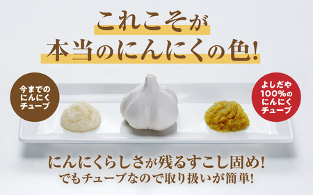 青森県産にんにく すりおろし 200g×3本 チューブ にんにく