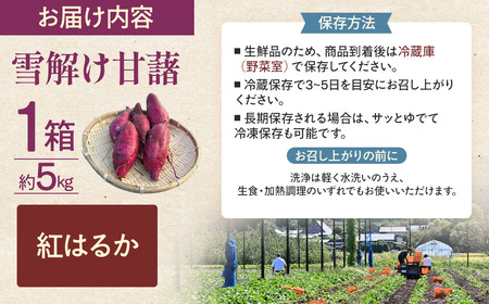 雪解け甘藷 紅はるか さつまいも スイーツ 三戸町