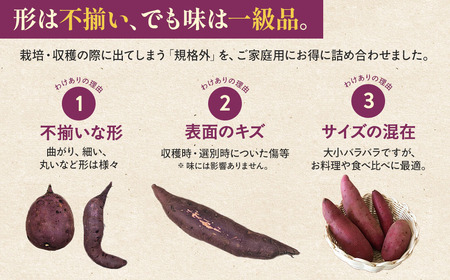 訳あり 雪解け甘藷 紅はるか さつまいも スイーツ 三戸町