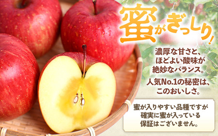 青森県産りんご サンふじ 約5kg 2026年1月中旬~ りんご