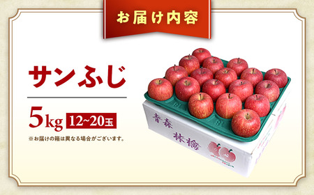 青森県産りんご サンふじ 約5kg 2026年1月中旬~ りんご
