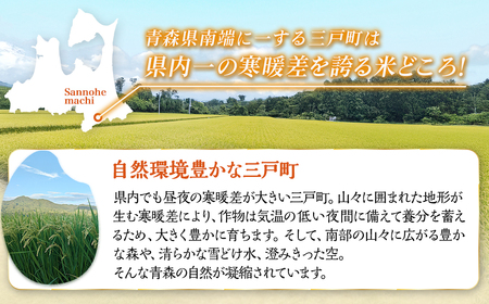 【令和７年産】 青森県産米 はれわたり 10kg（5kg×2袋） 特Ａブランド米