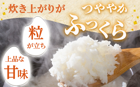 新米 定期便 青森県産米 はれわたり 10kg 6回定期便 特Ａブランド米