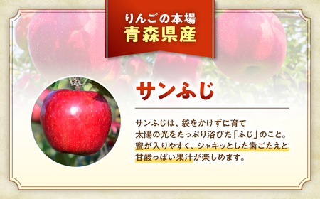 青森県産りんご 光センサー選別 サンふじ 約10kg 大玉 りんご