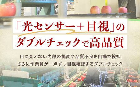 青森県産りんご 光センサー選別 サンふじ 約10kg 大玉 りんご