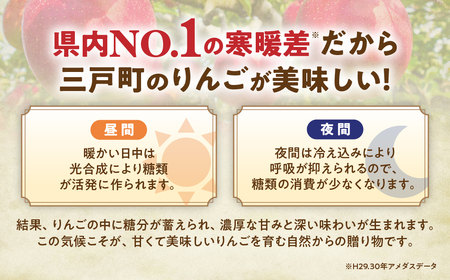 【光センサー選別】青森県産りんご サンふじ 約10kg 中～小玉 りんご