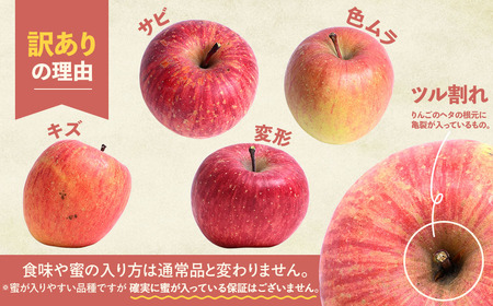 訳あり 青森県産りんご サンふじ 約3kg りんご【船場正寛】