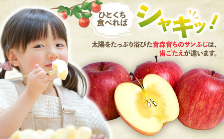 青森県産りんご サンふじ 約5kg 2026年1月下旬～ りんご