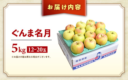 青森県産りんご ぐんま名月 約5kg 11月上旬～ りんご