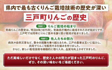 【訳あり】 青森県産りんご はるか 約5kg 12月上旬～ りんご