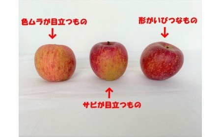 【訳あり】りんご「サンふじ」28～40玉（約10kg）【2025年1月中旬頃から順次発送開始・先行予約】