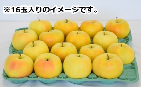 りんご【トキ】14～18玉（約5kg）【2024年産・先行予約】