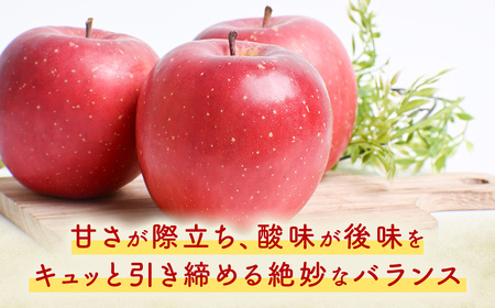 【先行予約】2026年発送 青森県産りんご 早生ふじ 約5kg りんご