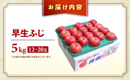 【先行予約】2026年発送 青森県産りんご 早生ふじ 約5kg りんご