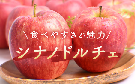 青森県産りんご シナノドルチェ 約5kg 10月上旬～ りんご