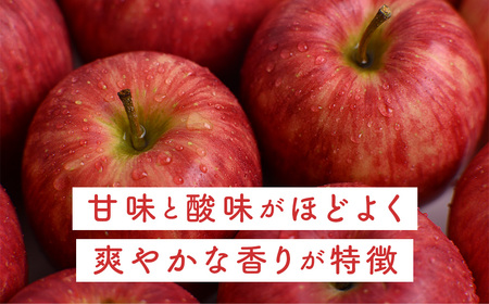 青森県産りんご シナノドルチェ 約5kg 10月上旬～ りんご
