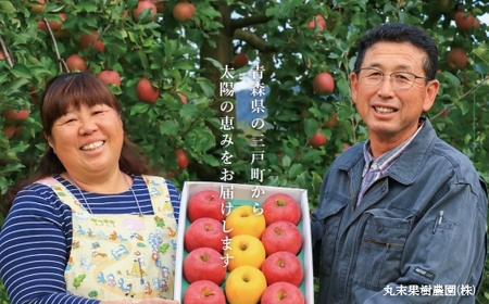 青森県産りんごジュース 【SANNOHE PEAK】 720ml×3本 りんごジュース