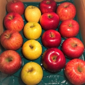 【青森ごのへ産】 もぎたてりんご 5kg(16~20玉)【配送不可地域:離島・沖縄県・中国・四国・九州】【1033632】