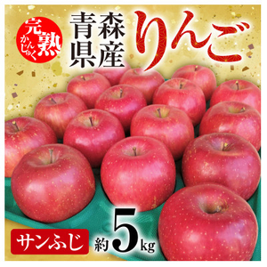 「青森県五戸町産」サンふじりんご　約5kg(12～20玉)【配送不可地域：離島・沖縄県】【1101259】