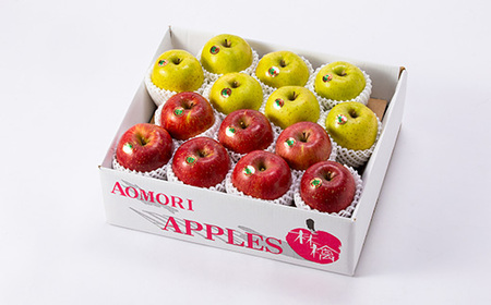 五戸のサンふじと王林の詰め合わせ 約5kg【配送不可地域:離島・沖縄県・九州】【1358683】