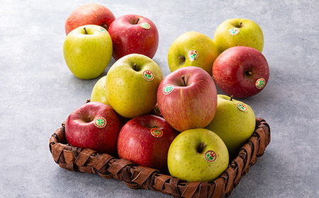 五戸のサンふじと王林の詰め合わせ 約5kg【配送不可地域:離島・沖縄県・九州】【1358683】