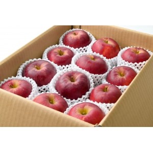 【青森産りんご】紅玉　約3kg(訳アリ含む)【配送不可地域：離島・沖縄県】【1357285】