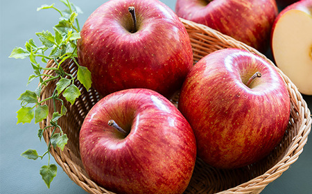 【青森県五戸産】りんご(サンフジ)約5kg(16個~20個入り)【配送不可地域:離島・沖縄県】【1362334】