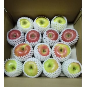 五戸のりんご食べ比べセット 約5kg【配送不可地域:離島・沖縄県・九州】【1363938】