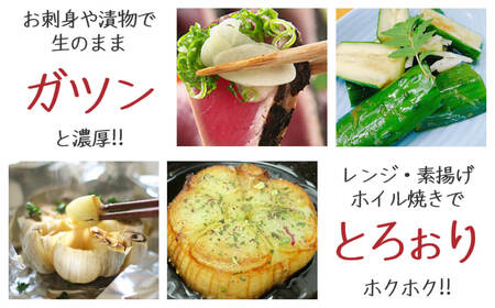 令和8年産朝採り直送！田子（たっこ）生にんにく約3kg（青森県田子町産にんにくM～Lサイズ混合）