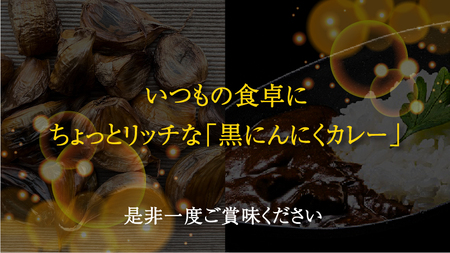 田子黒にんにくカレー 6食入