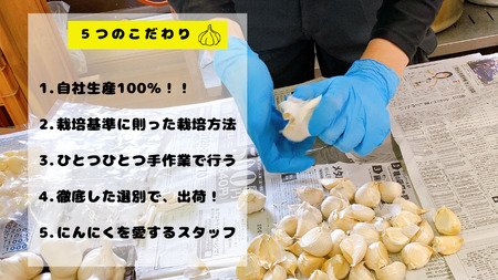 青森県田子町産むきにんにく　1.2kg（200ｇ×6袋）