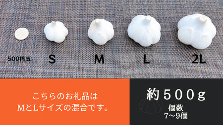 【農家直送】田子町産にんにく M&L size 『500g』