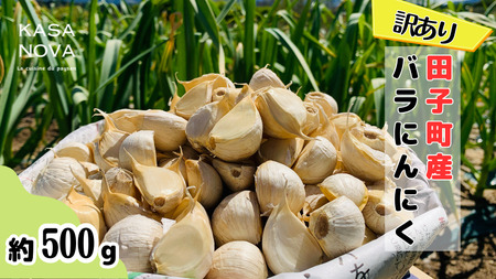 【訳あり】田子町産バラにんにく『500g』