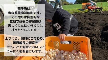 【訳あり】田子町産乾燥にんにく『500g』