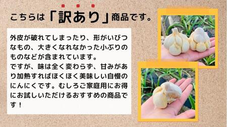 【訳あり】田子町産乾燥にんにく『500g』