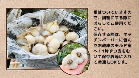 【訳あり】田子町産乾燥にんにく『500g』