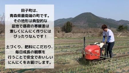 【農家直送】田子町産むきニンニク『600ｇ』(200g×3)