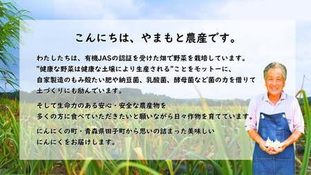 やまもと農産のオーガニックにんにく（バラ）1kg