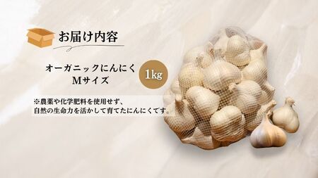 やまもと農産のオーガニックにんにく Mサイズ 1kg
